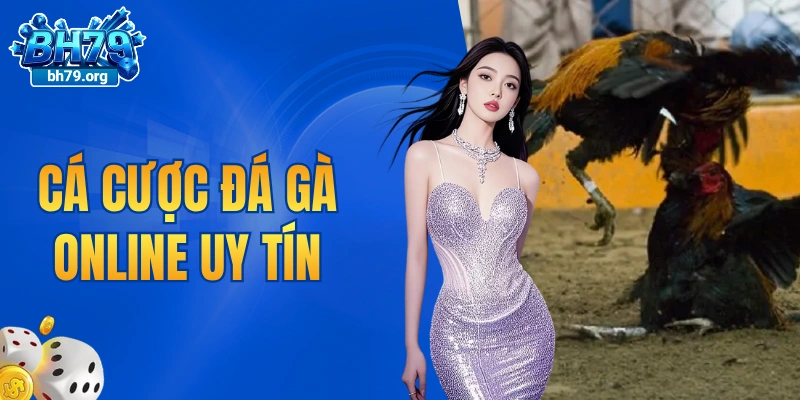 cá cược đá gà online uy tín