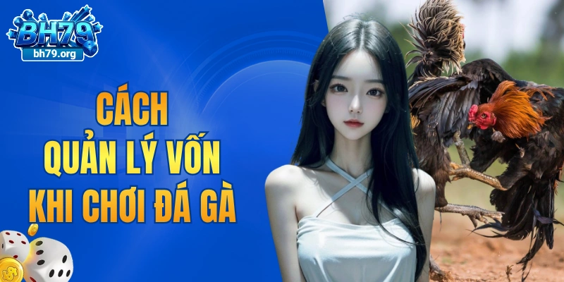 Cách quản lý vốn khi chơi đá gà