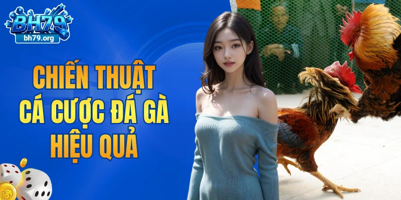 Chiến thuật cá cược đá gà hiệu quả