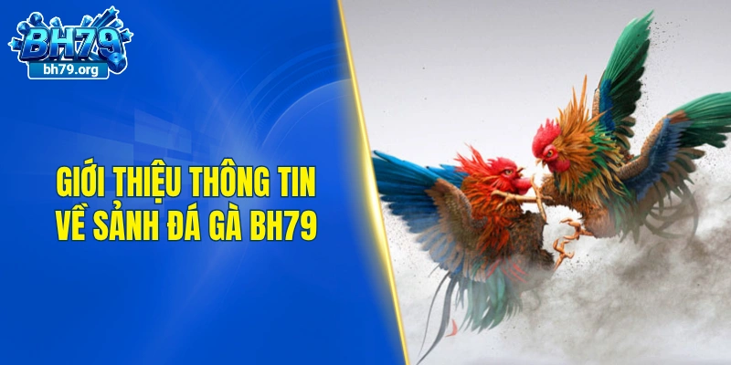 Giới thiệu thông tin về sảnh đá gà BH79