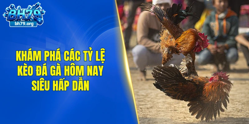 Khám phá các tỷ lệ kèo đá gà hôm nay siêu hấp dẫn