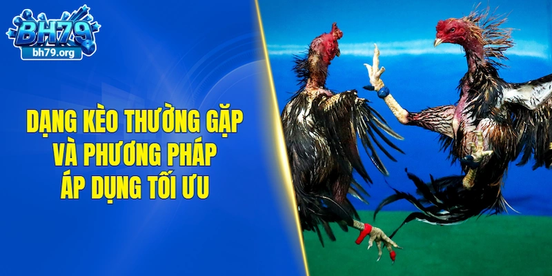 Những dạng kèo thường gặp và phương pháp áp dụng tối ưu