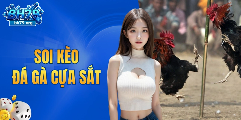 Soi kèo đá gà cựa sắt