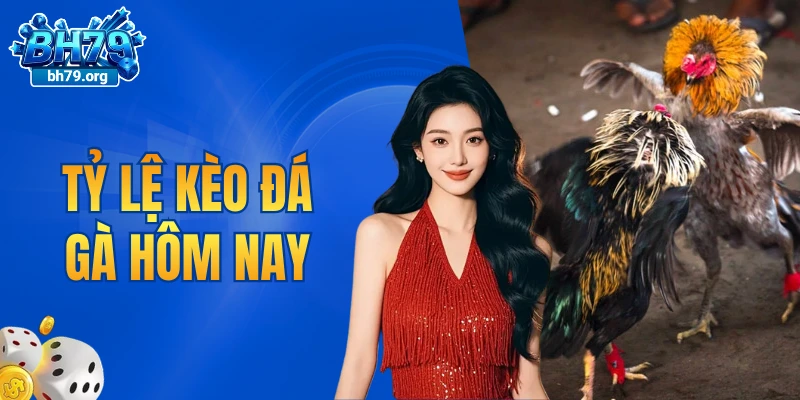 tỷ lệ kèo đá gà hôm nay